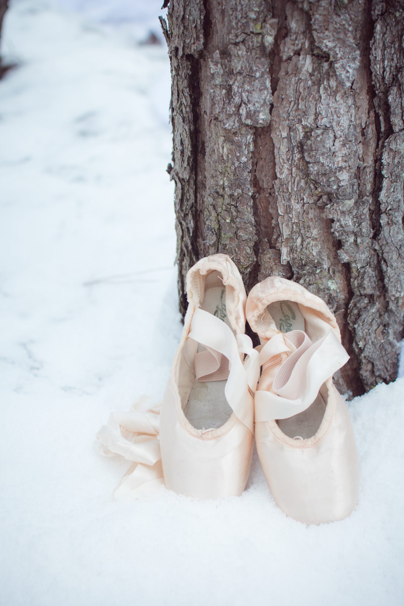jenn carroll photography, jenn carroll, family, family photographer, wesley chapel, wesley chapel florida, wesley chapel photographer, family photographer, florida, florida photographer, nutcracker wedding, nutcracker, ballet, mouse, groom, bride, ring, pink ring, clara, mouse prince, woods